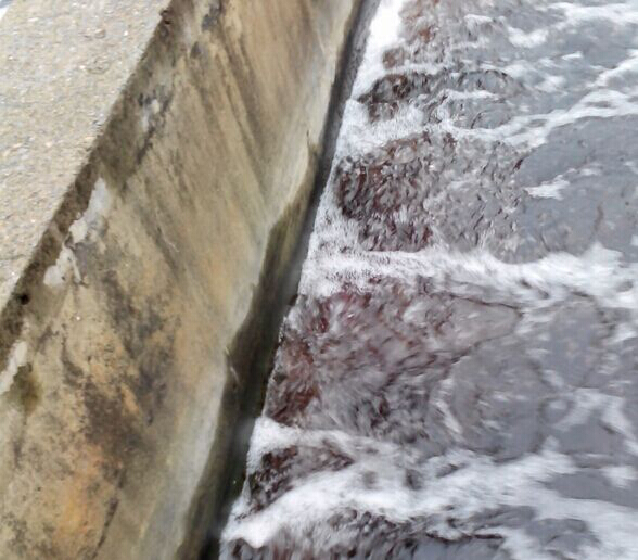 1493953309105806.jpg YURX9{T(5RCZ$[GR`Z[VZ`J.jpg